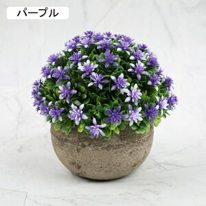 lHϗtA A ~ |    K[f ItBX rO[ { A } CeA Bep  蕨 b炸 v[g   l