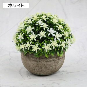 lHϗtA A ~ |    K[f ItBX rO[ { A } CeA Bep  蕨 b炸 v[g   l