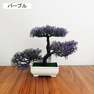 tFCNO[ ϗtA A lHϗtA { 19.5m*25cm ~ CeA  ItBX X 쑕  u ͂Ȃ b炸  z V