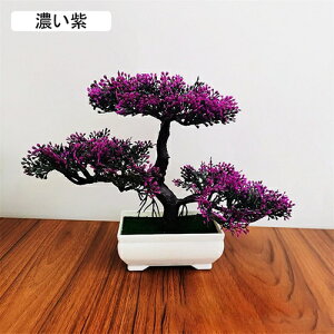 tFCNO[ ϗtA A lHϗtA { 19.5m*25cm ~ CeA  ItBX X 쑕  u ͂Ȃ b炸  z V