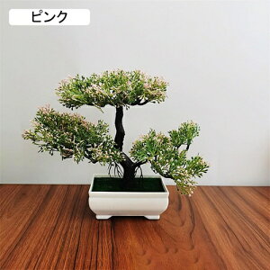 tFCNO[ ϗtA A lHϗtA { 19.5m*25cm ~ CeA  ItBX X 쑕  u ͂Ȃ b炸  z V