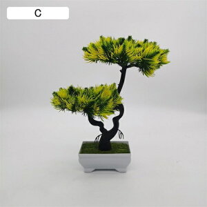 lHϗtA    ϗtA { ͂Ȃ b炸 24cm*29cm tFCNO[ ~ A CeA rO ItBX X 쑕 u ] Vz