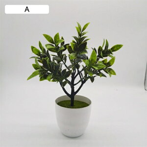 tFCNO[ ϗtA  iM ԃZbg { ͂Ȃ bsv ~ A CeA  ItBX X   u ] 蕨 v[g 24cm*30