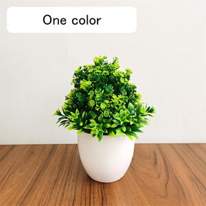 ϗtA  t  lH A  ~ CeA ItBX X  u ԃZbg { ͂Ȃ bsv rO///ʑ/Qp tFCNO[