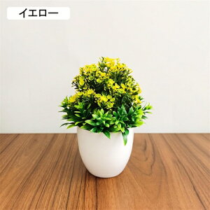 ϗtA  t  lH A  ~ CeA ItBX X  u ԃZbg { ͂Ȃ bsv rO///ʑ/Qp tFCNO[