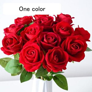 o  [Yԑ 9{Zbg  ԑ KN ԏ ͂Ȃ CeA o^Cf[ ̓ a Mtg }`bN g EGfBO NX}X p[eB[p