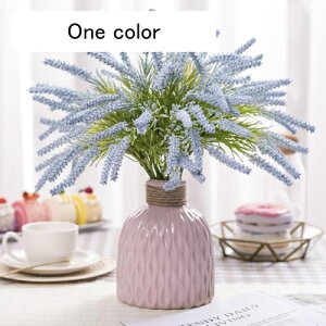 k ͂Ȃ ԑ ԕȓ  Ԍ|p j v[g  ʐ^Be LO ̓ }`bN  VN  G} {  F IVW