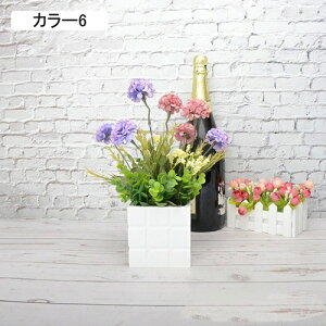   A AWTCZbg lHϗtA tFCNO[ { 32cm ~ CeA iX X  u ͂Ȃ b炸  JXj ]j v[