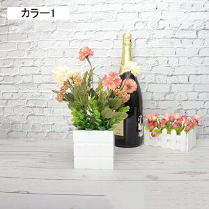   A AWTCZbg lHϗtA tFCNO[ { 32cm ~ CeA iX X  u ͂Ȃ b炸  JXj ]j v[