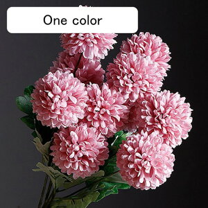  CeA s|e 5{ sN ͂Ȃ A[gt[ ̓v[g Mtg 킢 j   X iX  p[eB[ a ԑ 蕨̉ lHϗt