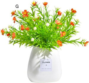 ϗtA  JX~ ԕrt tFCNO[ { ͂Ȃ bsv lH  CeA ItBX X  rO//ʑ/Qp A  蕨 v