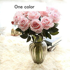  o [Yԑi12{Zbgj KN ԑ CeA A[gt[  v[g ͂Ȃ VN ̓v[g