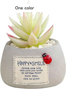 ~ ϗtA ~j  tFCNO[ A A lHϗtA  nI  CeA  ItBX e[u X  u ͂Ȃ b炸 蕨 