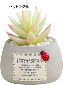 ~ ϗtA ~j  tFCNO[ A A lHϗtA  nI  CeA  ItBX e[u X  u ͂Ȃ b炸 蕨 