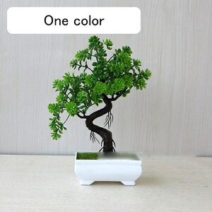  lHϗtA CeA  k tFCNO[ ~ A   z[  fXN A u Vzj ] z Mtg 蕨 v[g