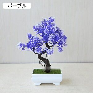  lHϗtA CeA  k tFCNO[ ~ A   z[  fXN A u Vzj ] z Mtg 蕨 v[g