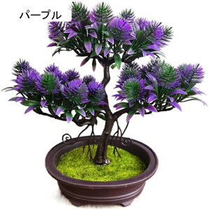 tFCNO[ ϗtA   ԃZbg { ͂Ȃ bsv 25cm*30cm A ~ CeA   u ] Vz ސEj 蕨 v[g zC