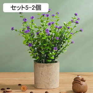 tFCNO[ [J lHϗtA  A ~  ~j CeA   sv bsv p Vzj ̓ ̓ Ղ 蕨 ItBX z[ f