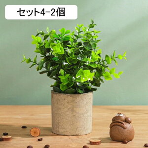 tFCNO[ [J lHϗtA  A ~  ~j CeA   sv bsv p Vzj ̓ ̓ Ղ 蕨 ItBX z[ f