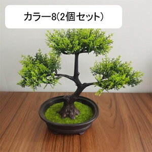 ϗtA  A lHϗtA tFCNO[ { ~ CeA  ItBX X  u ͂Ȃ b炸  JXj Vzv[g 2Zbg