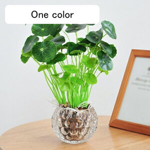 ϗtA  KXt {  ͂Ȃ bsv lH tFCNO[ CeA ItBX X  JƏj rO///ʑ/Qp A 蕨 v