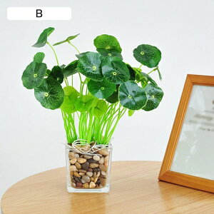 ϗtA  KXt {  ͂Ȃ bsv lH tFCNO[ CeA ItBX X  JƏj rO///ʑ/Qp A 蕨 v