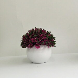 ϗtA ~j A lHϗtA tFCNO[ { 11-13cm ~ CeA  ItBX X   u ͂Ȃ b炸  Vz z 