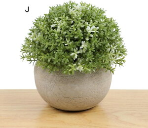 lHϗtA A ~ |    K[f ItBX rO[ { A } CeA Bep  蕨 b炸 v[g   l