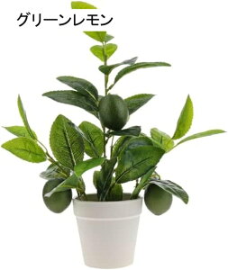 13C` lHc[ A ~jA  tFCNAt[c CG[  rO[ ItBX fXN Q p