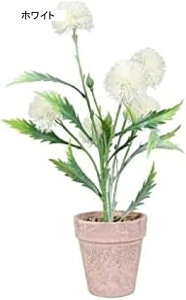 �t�F�C�N�ϗt�A�������X�v���[�y�C���g�^���|�|�l�H���A���z�[���V�~�����[�V�������A���A���e�[�u���g�b�v�ܑ��΃p���v�~�́A�X�v���[�p�[�v��