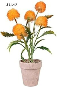 tFCNϗtAXv[yCg^||lHAz[V~[VAAe[ugbvܑ΃pv~́AXv[p[v