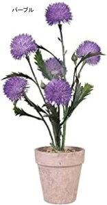 tFCNϗtAXv[yCg^||lHAz[V~[VAAe[ugbvܑ΃pv~́AXv[p[v