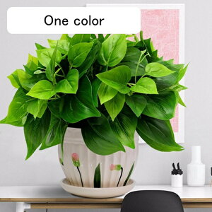 tFCNO[ ϗtA  ΐA { ͂Ȃ b炸 lH A ~ CeA ItBX ƒ X  u ԃZbg rO///ʑ 蕨 v