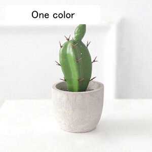 T{e~  CeA ~j A  k tFCNO[  INS lHϗtA  e[u ΂̐A u Vzj a ] v[g