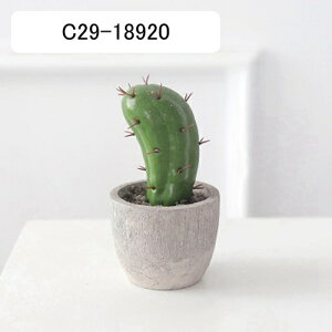 T{e~  CeA ~j A  k tFCNO[  INS lHϗtA  e[u ΂̐A u Vzj a ] v[g