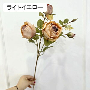 1�{ �o�� ���� �ԑ� �C���e���A �͂�Ȃ� �M�t�g �v���[���g �A�[�g�t�����[ ������ �X/�i���X �p�[�e�B�[ ���r���O �K�[�f�j���O �Q�� ������ ���p�� �z�[�� ����/�a���� �I�t�B�X/�p�[ ��