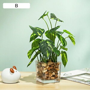 tFCNO[  A ~ KXt lHϗtA { 25cm CeA ItBX X  Be u ͂Ȃ b炸  k Vz JX 蕨