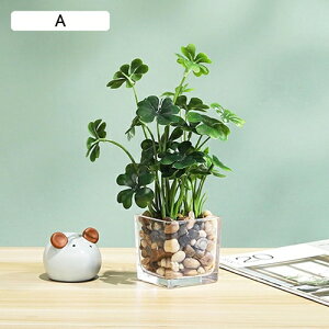 tFCNO[  A ~ KXt lHϗtA { 25cm CeA ItBX X  Be u ͂Ȃ b炸  k Vz JX 蕨