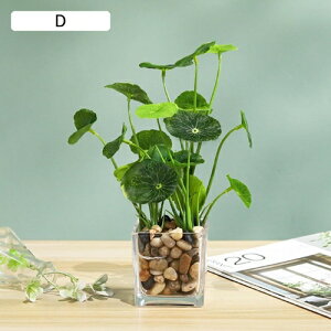 tFCNO[  A ~ KXt lHϗtA { 25cm CeA ItBX X  Be u ͂Ȃ b炸  k Vz JX 蕨