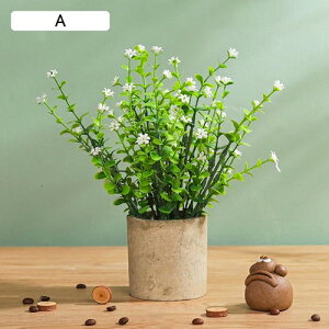 tFCNO[ ~j  A ~ t lHϗtA { k c CeA ItBX X  Be u ͂Ȃ b炸  JXj Vzj v