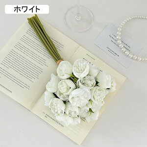   ԑ CeA  ڂ ͂Ȃ Q   ItBX ̓  a j JXj  EFfBO p[eB[ v[g ʐ^ A[gt