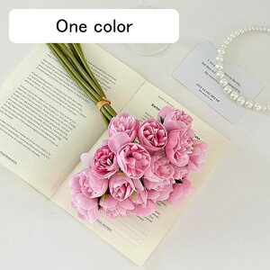   ԑ CeA  ڂ ͂Ȃ Q   ItBX ̓  a j JXj  EFfBO p[eB[ v[g ʐ^ A[gt