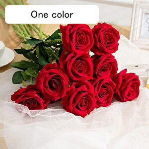  o 9{Zbg  ԑ  CeA A[gt[  u[P KN ԏ o^Cf[ ̓ a Mtg }`bNȗے rO K[fjO Q It