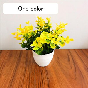 ϗtA  [K A ԃZbg lHϗtA tFCNO[ { ~ CeA  ItBX X   u ͂Ȃ b炸  蕨 v[