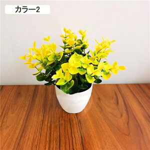 ϗtA  [K A ԃZbg lHϗtA tFCNO[ { ~ CeA  ItBX X   u ͂Ȃ b炸  蕨 v[