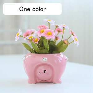 ԃZbg CeA ~j  Ԃ̉ԑ k LC tFCNt[ u[P ͂Ȃ ItBX rO e[u Be u Q JXj ̓Mtg Vj 