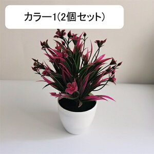 tFCNO[  Ԗ~ A lHϗtA 18cm vX`bN ~ CeA  ItBX X   u ͂Ȃ  JXj 蕨 v[g 2Z