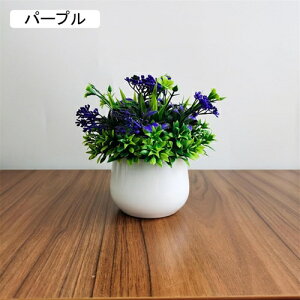 tFCNO[ lHϗtA ~j  A  ~ CeA ItBX X  u ԃZbg ͂Ȃ bsv rO///ʑ/Qp lH Vj ]