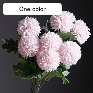  CeA s|e 5{ CgsN ͂Ȃ A[gt[ ̓v[g Mtg 킢 j   X iX  p[eB[ a ԑ 蕨̉ l