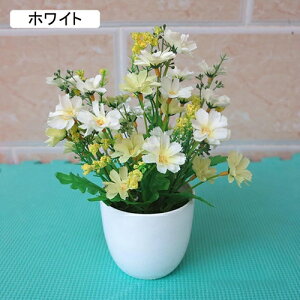 tFCNt[ e lHϗtA A ~   tFCNO[ CeA   p Vzj 蕨 ItBX z[ e[u u H|i